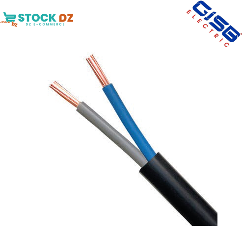 Cable 2x2.5mm² Rigide Bobine 100 ML