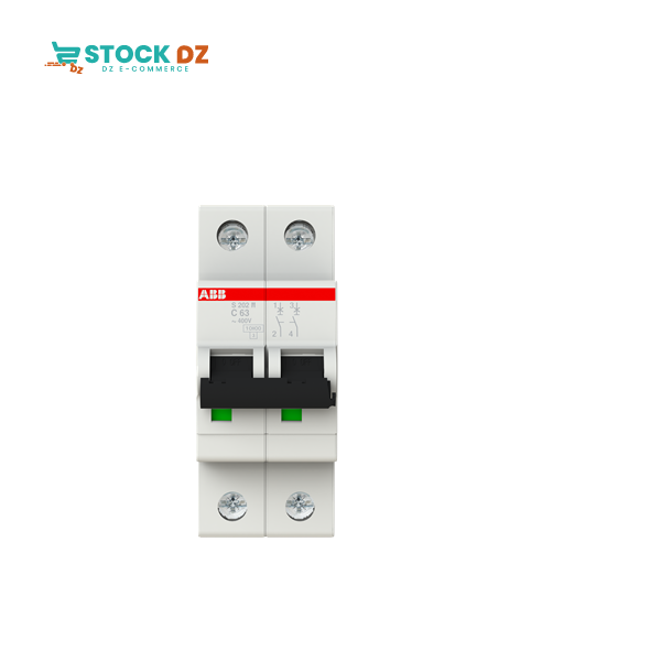 Disj modulaire 2P (10-15KA) S202M-C63