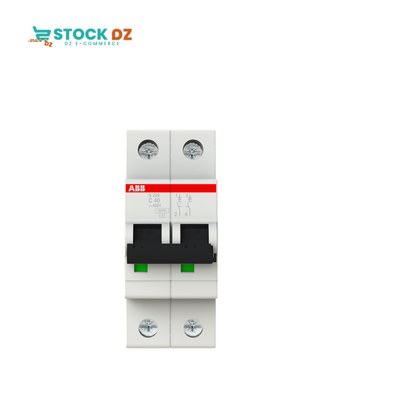 Disj modulaire 2P (6-10KA) S202-C40