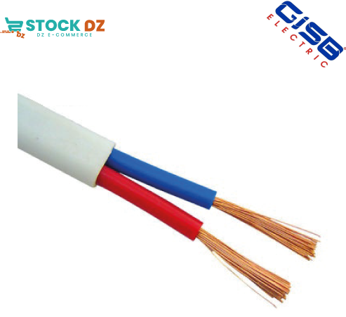 Cable 2x2.5mm² Souple Bobine 100 ML