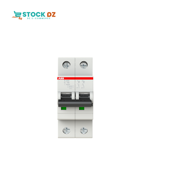 Disj modulaire 2P (6-10KA) S202-C16